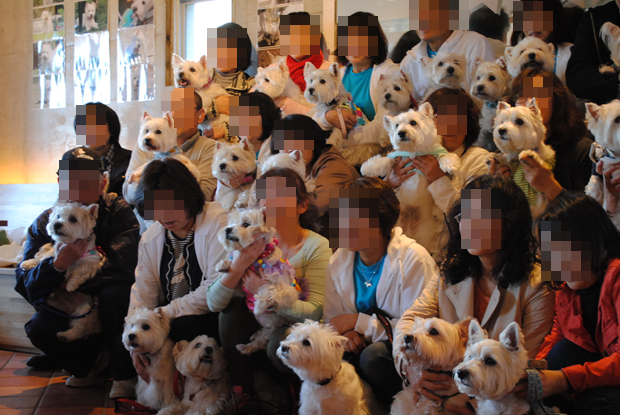 b0242873_02163936.png