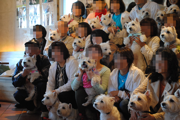 b0242873_02182637.png