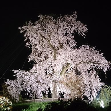 f0184876_22283145.jpg