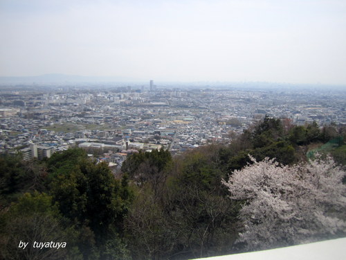 b0245877_0393734.jpg
