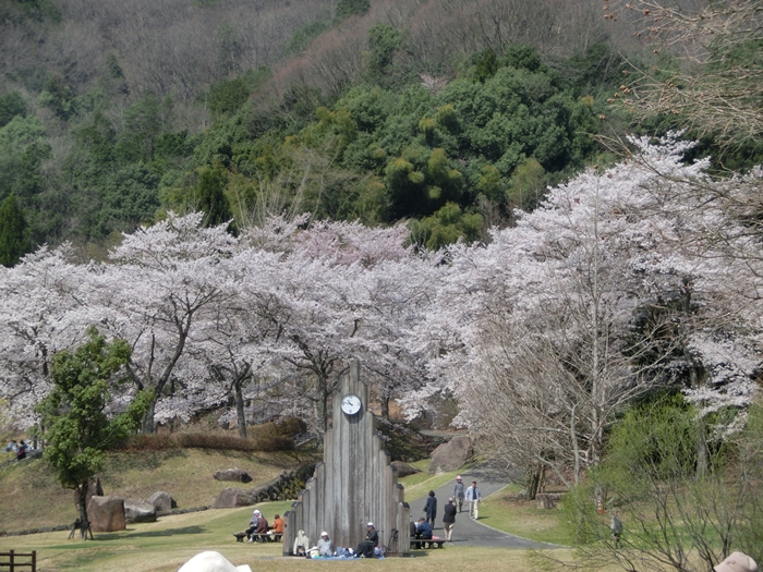 土師ダムの桜_a0199979_18412570.jpg