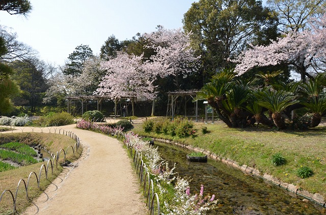 2014年4月9日　【台湾からのお客様】_a0185880_16452082.jpg