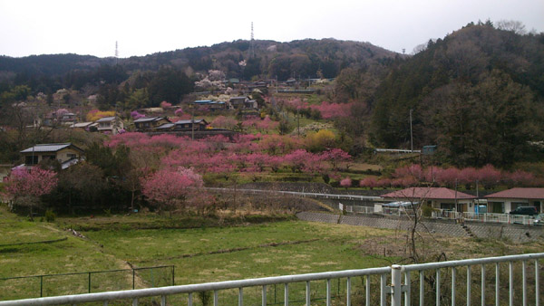 b0144082_13006.jpg