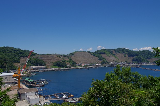 a0189883_0495477.jpg