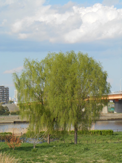 d0257690_18110657.jpg