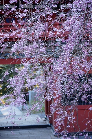 b0147203_2212447.jpg