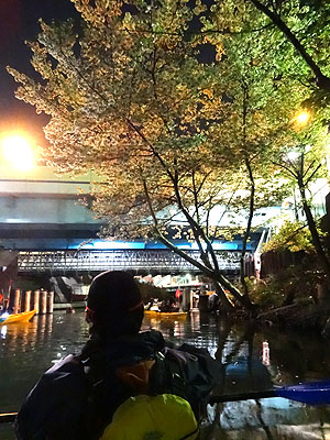 東京水路ナイトパドリング_c0137404_15283765.jpg