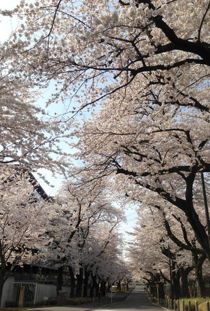 c0149404_2372168.jpg