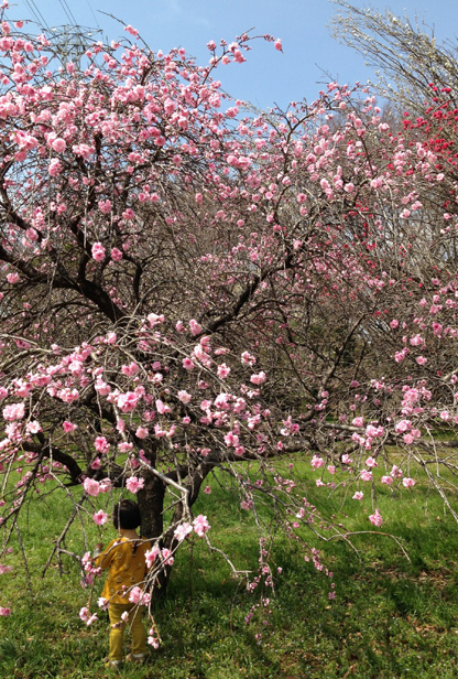 c0149404_2372970.jpg