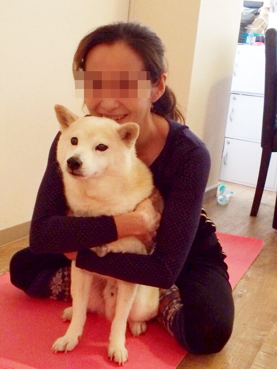 桜のまとめとDOG YOGA_e0131506_19183570.jpg