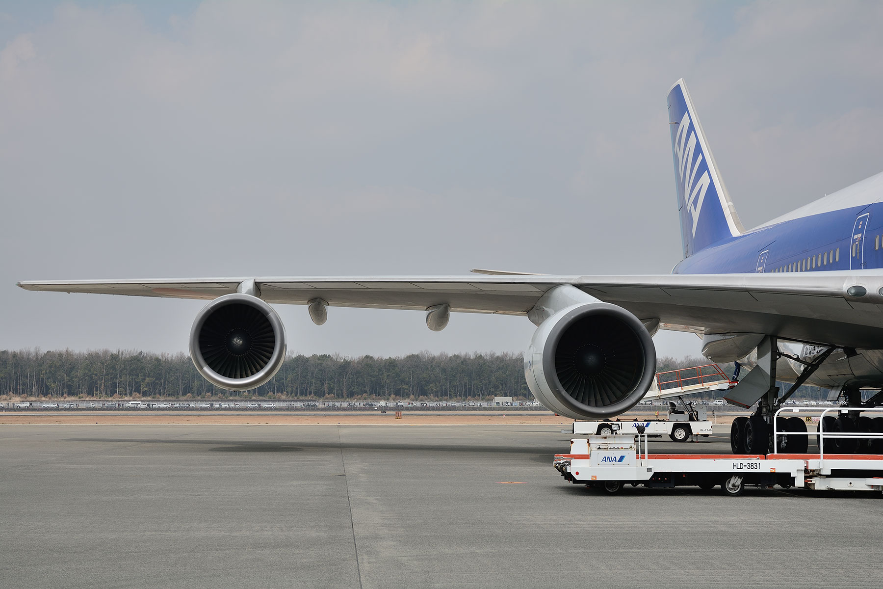 ANAボーイング747退役記念「さよならフライトチャーター」03_d0226909_022661.jpg