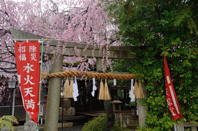 雨の枝垂れ巡り 其の五・水火天満宮_f0032011_19503675.jpg