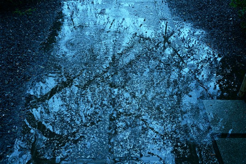 雨の枝垂れ巡り 其の五・水火天満宮_f0032011_202123.jpg