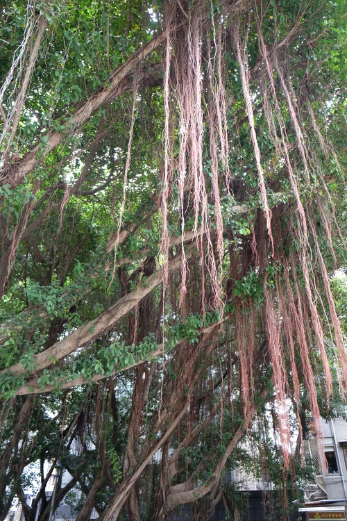 f0218012_19412193.jpg
