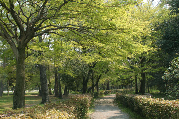京都御所 一般公開_e0048413_230571.jpg