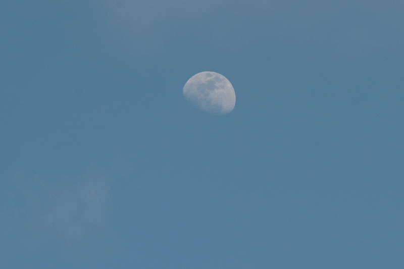 a0278914_18151337.jpg