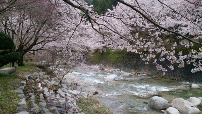 花冷えの中でのプチお花見_b0146414_053180.jpg