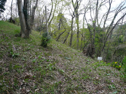 a0284820_818767.jpg