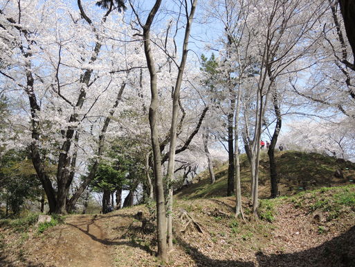 戸山公園を行く 断想 戸山公園を行く 断想