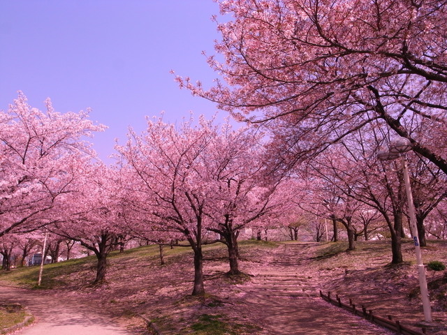 f0209122_17554087.jpg