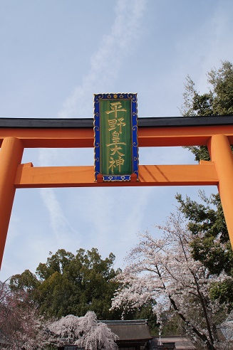 桜満開　～平野神社（京都）～_c0235725_2146147.jpg