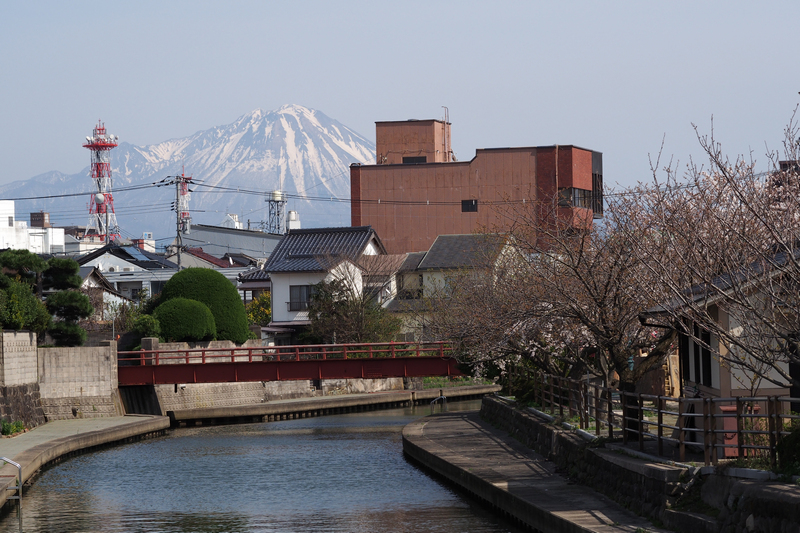 桜 さくら　2014_e0118825_19253436.jpg