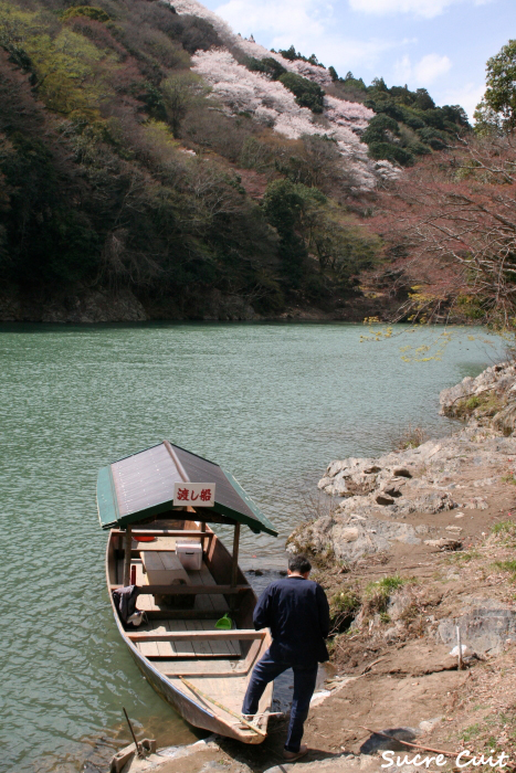 嵐山　桜_c0127227_11192792.jpg