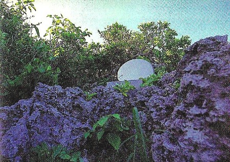 聞得大君のナーワンダーグスク〈２〉皇室が持ち去った鏡_a0300530_23173580.jpg