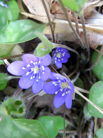 f0234936_55975.jpg