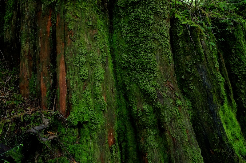 f0254240_9302569.jpg