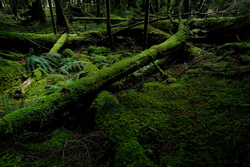 f0254240_9311656.jpg
