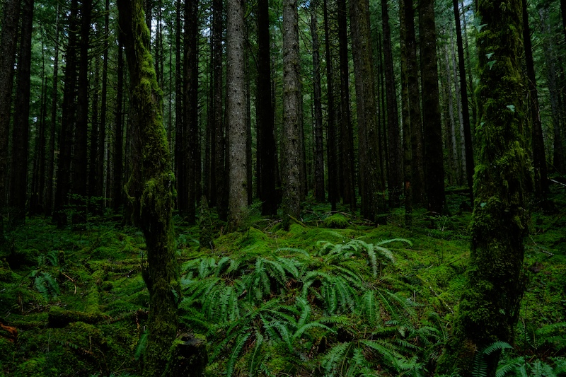 f0254240_9322061.jpg