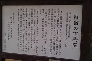 富士宮植え付け２回目_d0022845_16105567.jpg