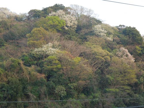 b0053654_013538.jpg