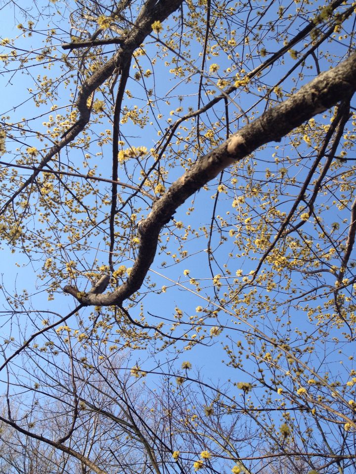 ◆取材の旅先から③ 〜群馬、埼玉編_b0008655_8171640.jpg