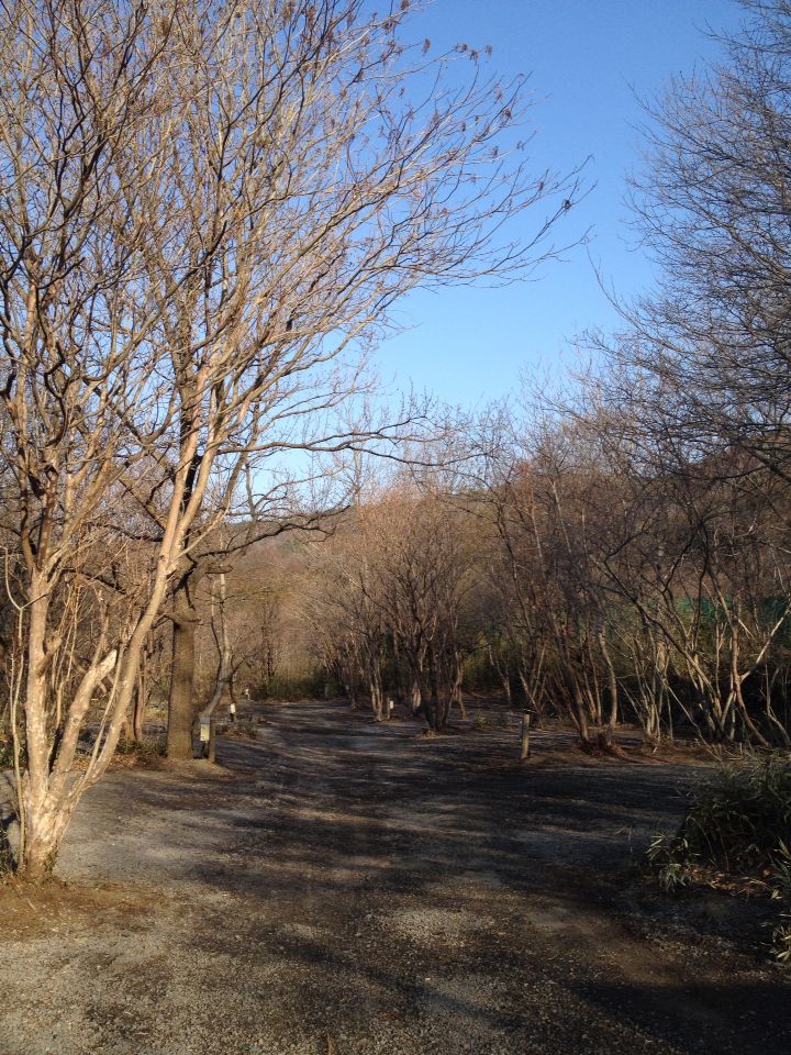 ◆取材の旅先から③ 〜群馬、埼玉編_b0008655_817366.jpg