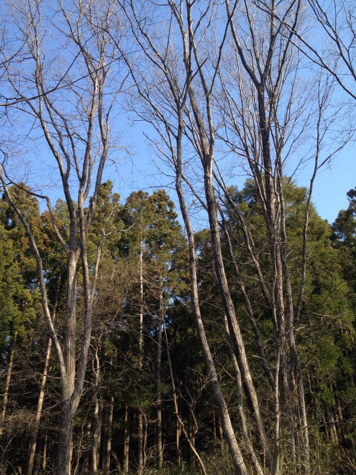 ◆取材の旅先から③ 〜群馬、埼玉編_b0008655_817825.jpg