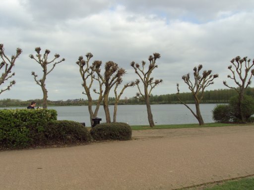 e0010856_7151244.jpg