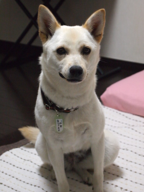 c0299657_10551160.jpg