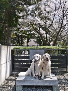 f0321567_104022100.jpg