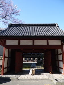 f0321567_10414526.jpg