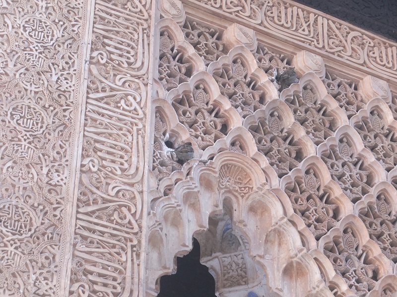 d0193569_1583958.jpg