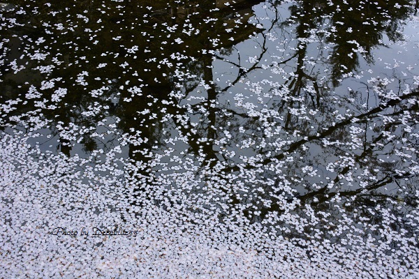 f0221369_22473228.jpg