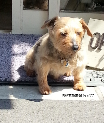 b0249672_15101201.jpg