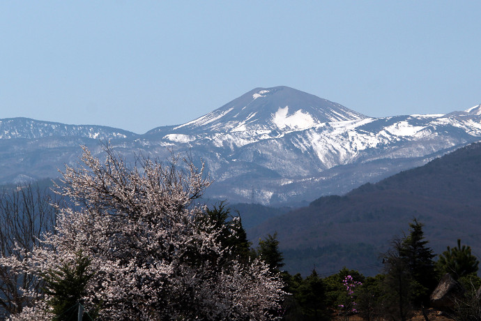 ふくしまの春－雪うさぎ_e0088874_23413517.jpg