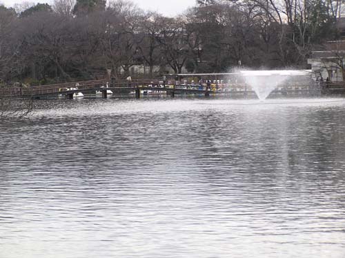 f0211178_17413662.jpg