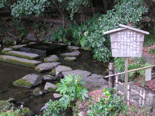 ぐるっとパスNo.1５・１６ 吉祥寺美と井の頭自然文化園で見たこと_f0211178_17415087.jpg