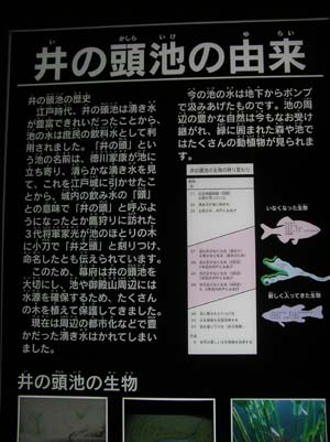 ぐるっとパスNo.1５・１６ 吉祥寺美と井の頭自然文化園で見たこと_f0211178_17421721.jpg