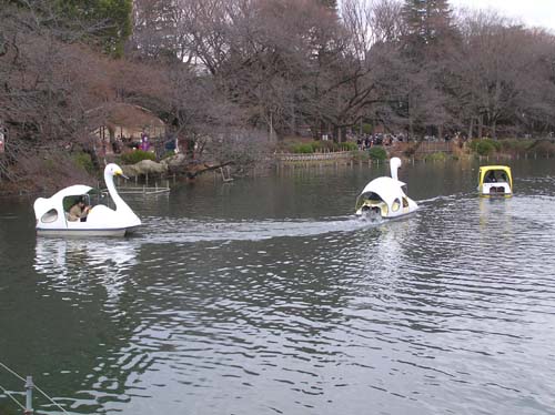 f0211178_17425493.jpg