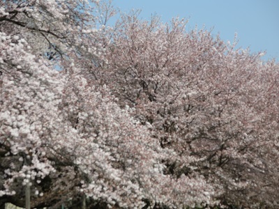 e0093679_14384844.jpg
